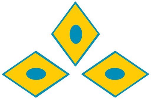 Organisation Logo